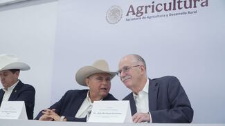  Crecerá  6 %  producción de carne de res en a 2026;  se recuperará autosuficiencia en esta proteína: CNOG 