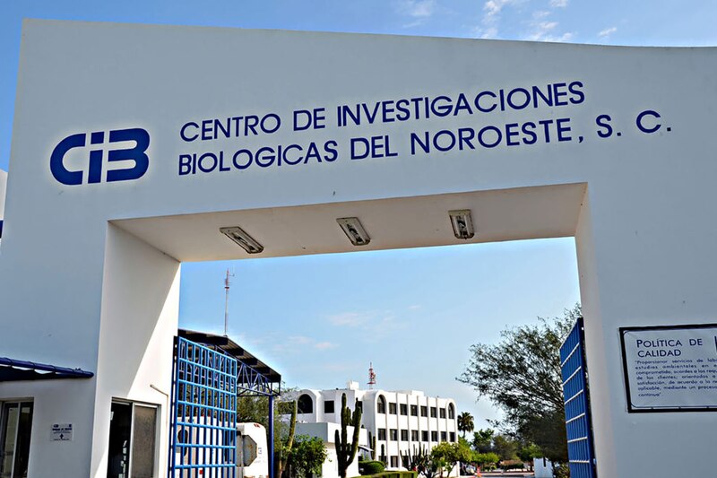 Centro de Investigaciones Biológicas del Noroeste, S.C.