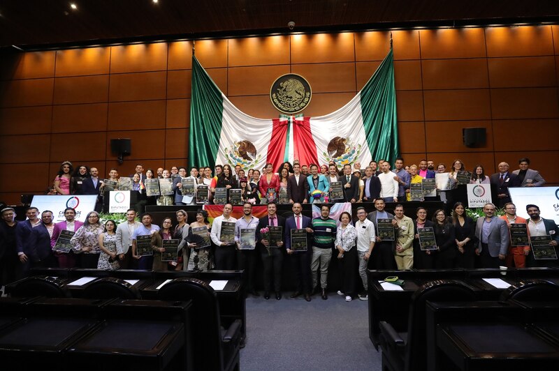 Diputados mexicanos aprueban matrimonio igualitario