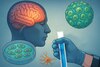Hidrogeles inteligentes: el futuro de las terapias cerebrales sin cirugía