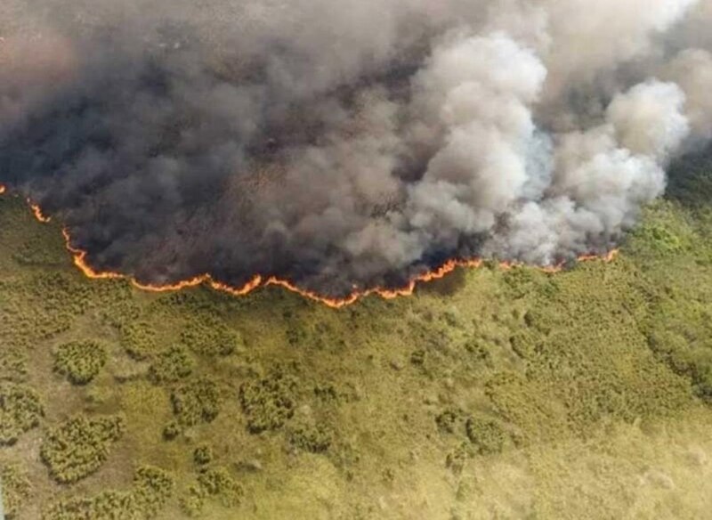 Incendios forestales en la Amazonía