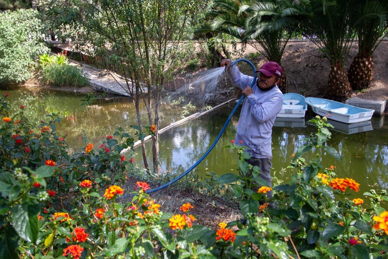 Jardinero regando las plantas con una manguera