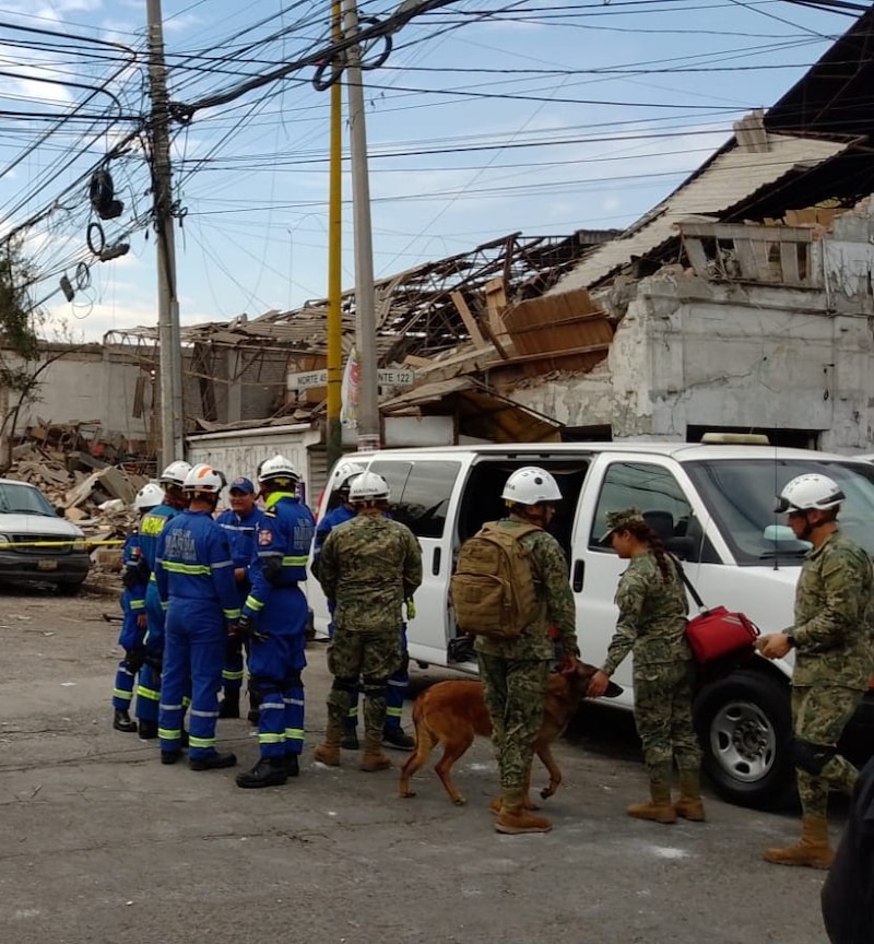 Rescatistas buscan sobrevivientes entre los escombros de un edificio colapsado