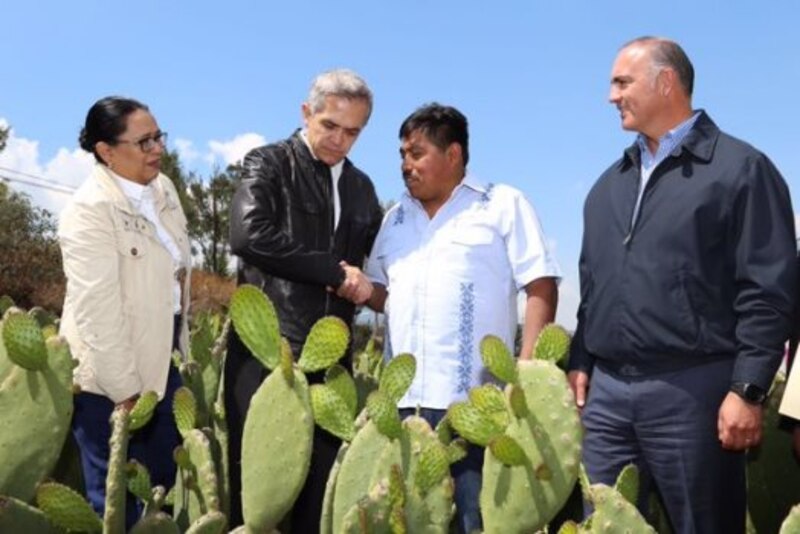 El Presidente de México visita una plantación de nopales en el estado de Oaxaca.