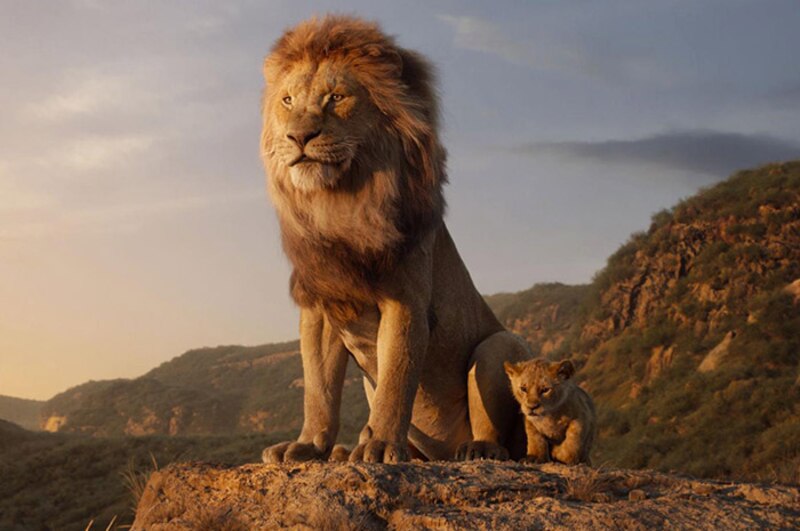 El Rey León