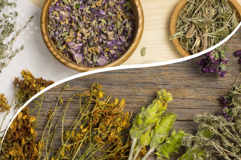 Hierbas secas para té