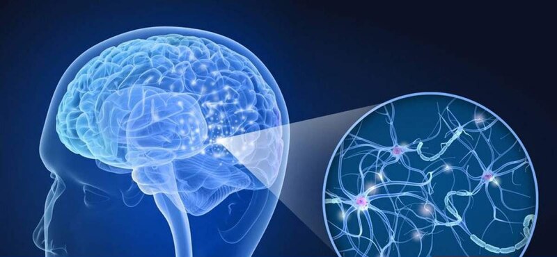 Neuronas, las células del cerebro