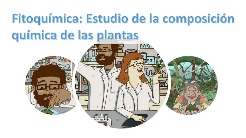 Fitoquímica: Estudio de la composición química de las plantas