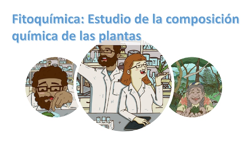Fitoquímica: Estudio de la composición química de las plantas