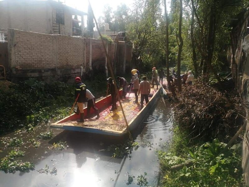 Limpieza de canales en Xochimilco