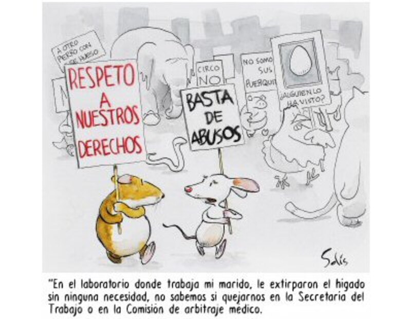 Los derechos de los animales