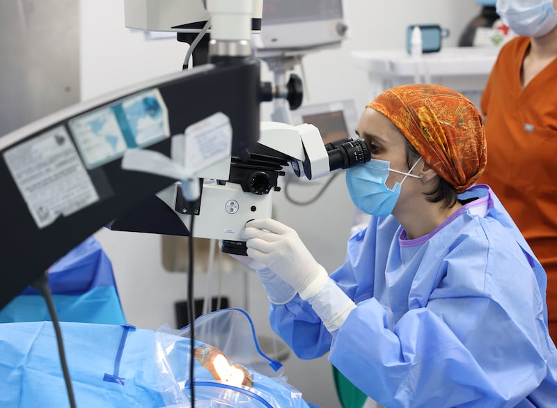 Jornada Oftalmológica en el IMSS-Hidalgo, devuelven la visión a 134 derechohabientes a través de las jornadas de Oftalmología