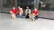 Apoyo a pacientes pediátricos con perros, mejora su estado emocional 