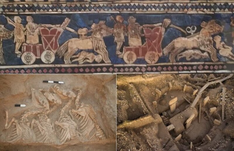 Restos arqueológicos de carros y caballos en Mesopotamia