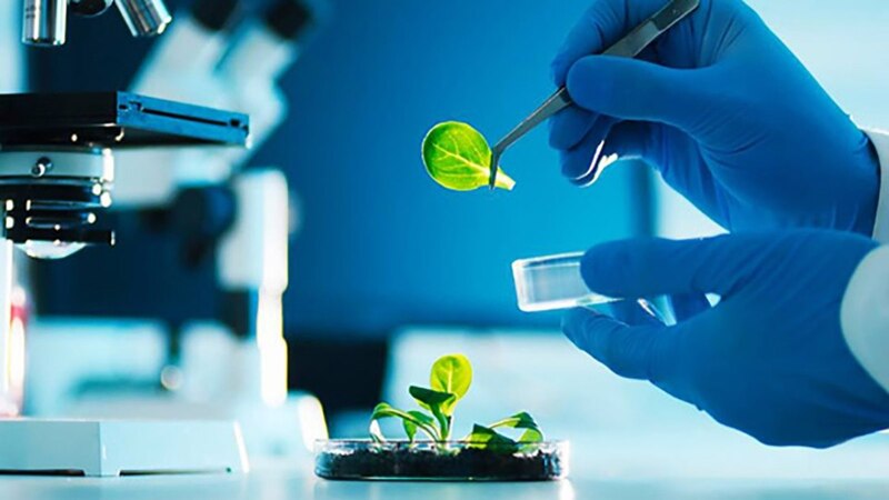 Científico trabajando en un laboratorio