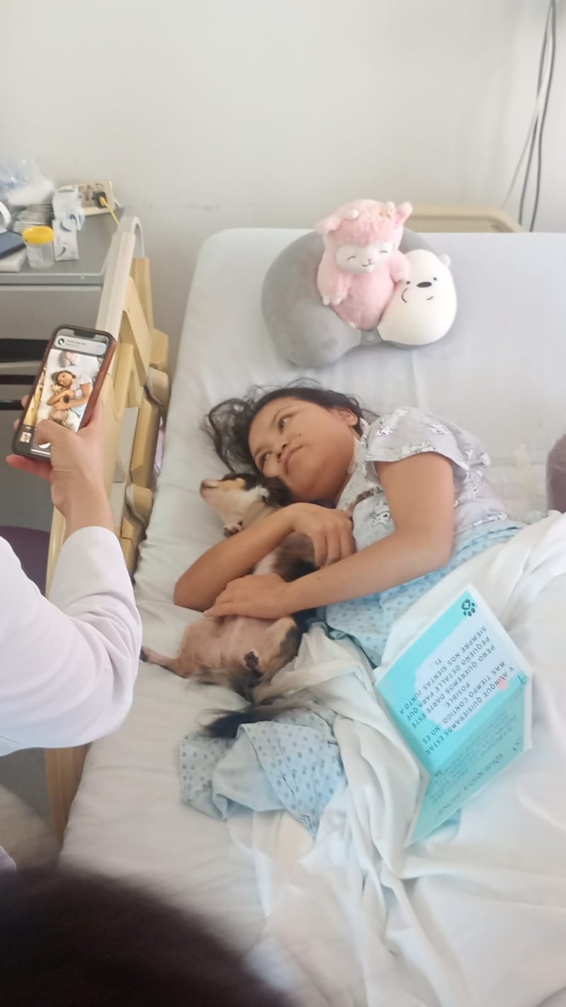 Moni, paciente renal del Instituto Nacional de Pediatría, amorosamente abraza a Leya, perrita chihuahua, que como cada semana acuden a cumplir con su trabajo: dar amor a los pacientes hospitalizados