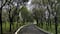 Consulta ciudadana define futuro de proyectos UTOPÍA en Álvaro Obregón y Xochimilco