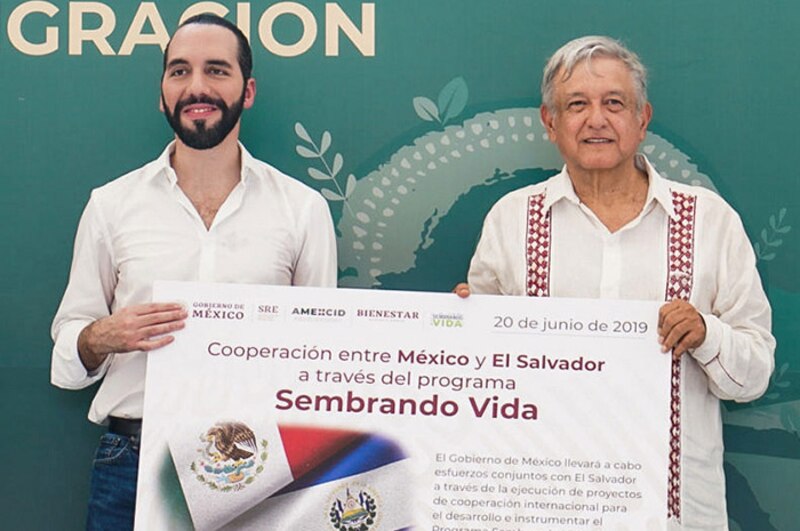 Cooperación entre México y El Salvador a través del programa Sembrando Vida