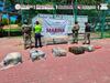 Aseguran 270 kilos de cocaína en el recinto portuario de Manzanillo