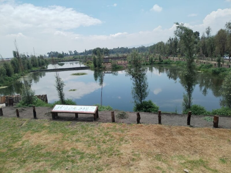 Laguna en el parque