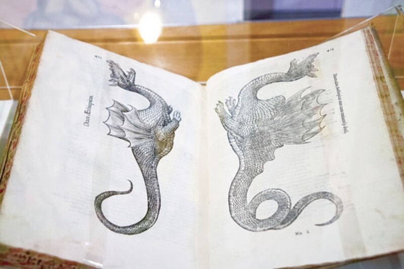 Dragones en el bestiario medieval