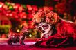 Agenda para conmemorar el Día de Muertos en Jalisco
