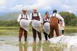 Texcoco siembra un millón de mojarras para impulsar producción de pescado y turismo sustentable