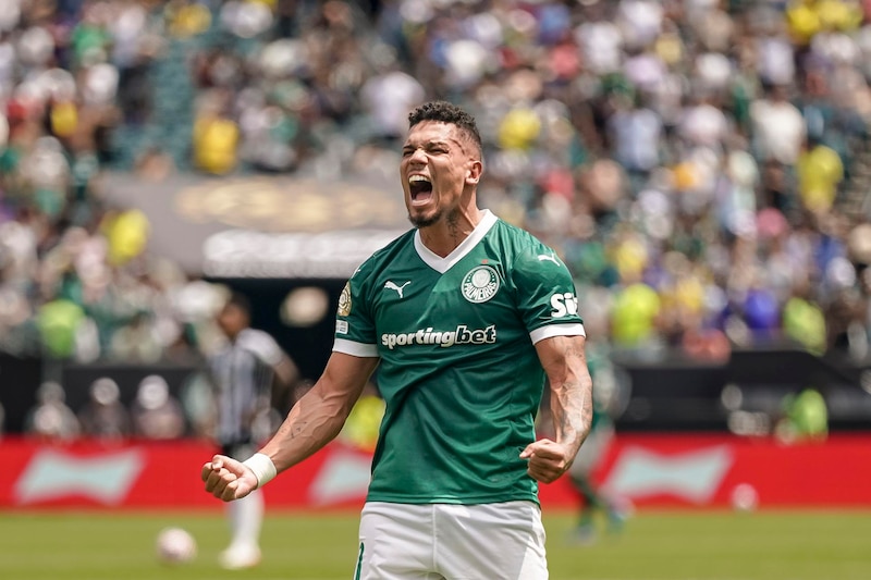 Palmeiras vs Botafogo