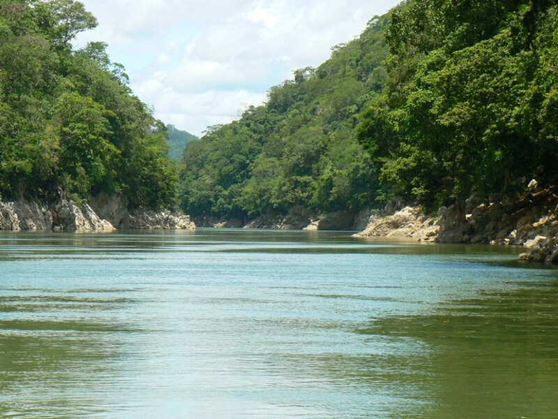 Río en la selva