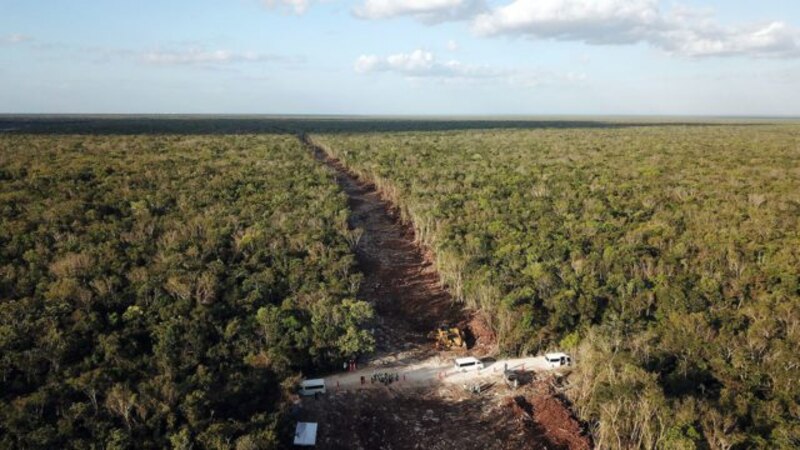 Construcción de la carretera en medio de la selva