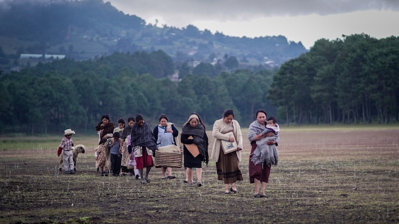 Mujeres indígenas caminando en un campo