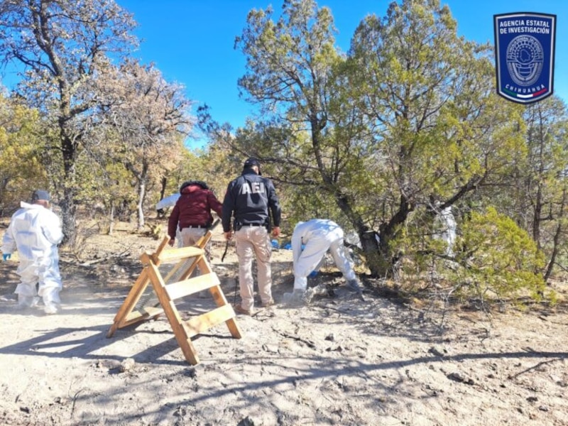 Autoridades inspeccionan el terreno en Casas Grandes donde localizaron 19 cuerpos en fosas clandestinas durante un operativo conjunto