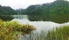 Una ciudad perdida transformó paisajes en la Amazonia de Ecuador  