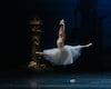 Svetlana Ballester: “El ballet es arte y los bailarines somos artistas, no atletas”  