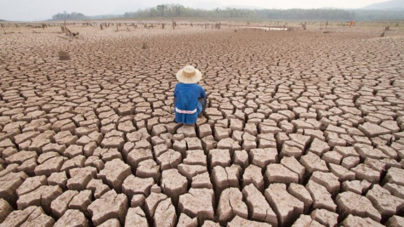 La sequía en el campo