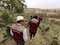 Refuerzan en Ixtapaluca la protección al campo con monitoreos contra plagas y daños