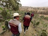Refuerzan en Ixtapaluca la protección al campo con monitoreos contra plagas y daños