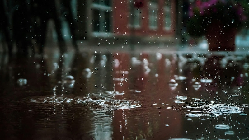 Captación de agua de lluvia en Guadalajara como solución sustentable para el abasto hídrico