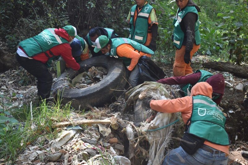 Voluntarios limpian un bosque de basura