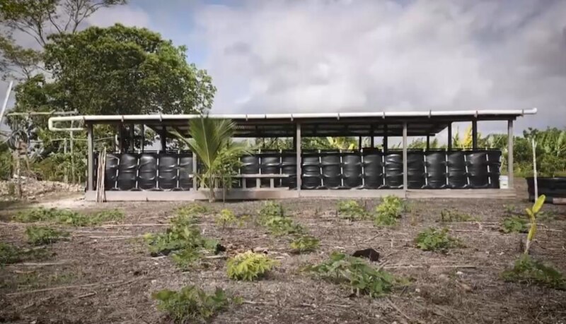 Granja de acuaponía en funcionamiento