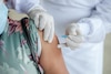 La primera vacuna contra la malaria se producirá en India