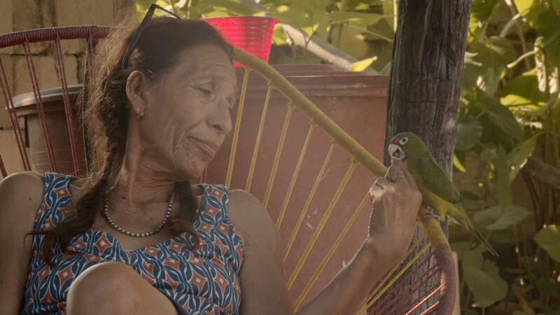 La mujer y el loro