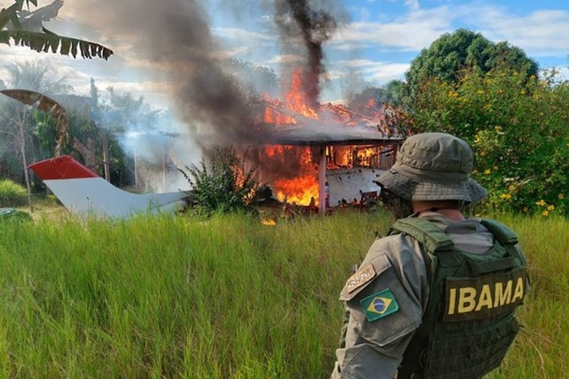 Incendios forestales en la Amazonía