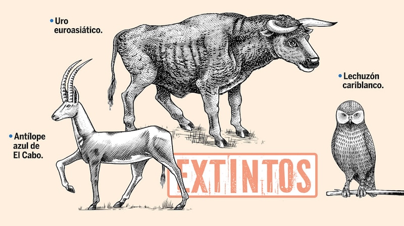 Animales extintos