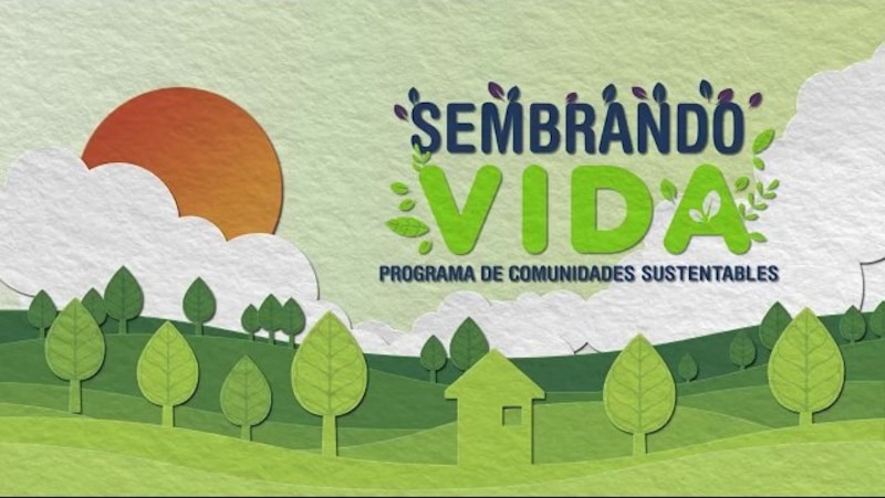 Sembrando vida