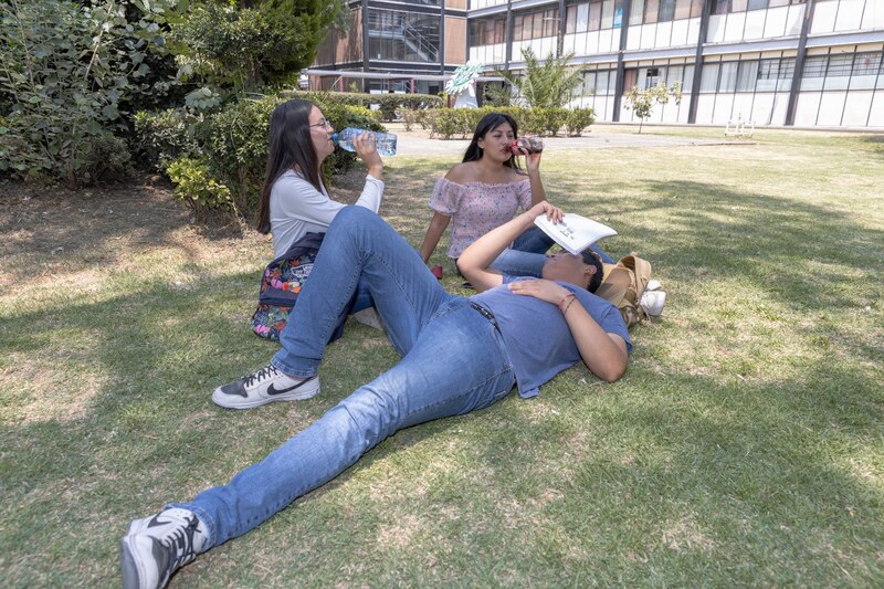 Estudiantes universitarios descansando en el campus