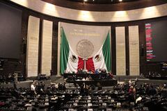 Igualdad Animal: Presentan iniciativa de Ley General de Protección Animal