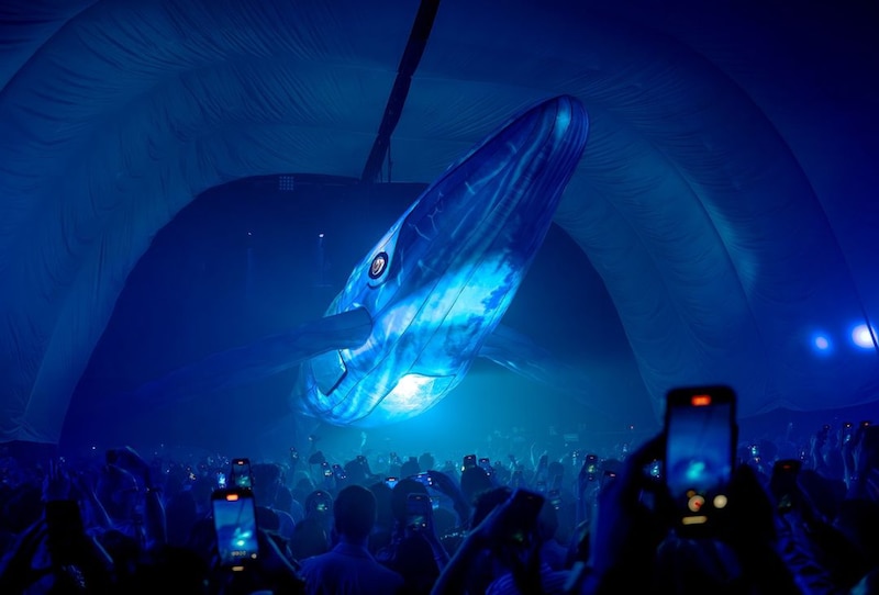 Una ballena azul inflable gigante flota sobre una multitud en un concierto.