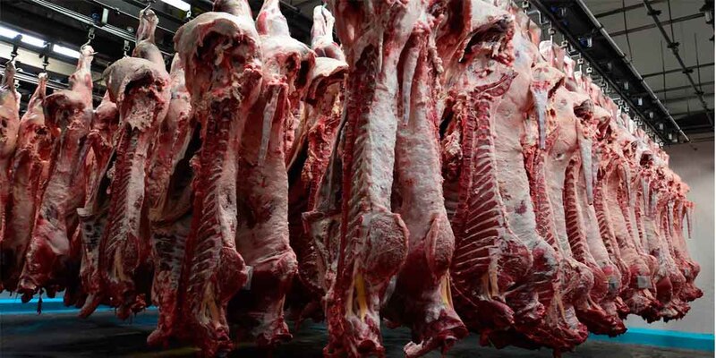 Cadenas de carne de res
