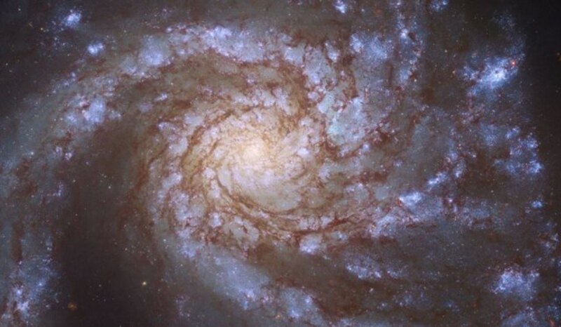 Galaxia espiral M81